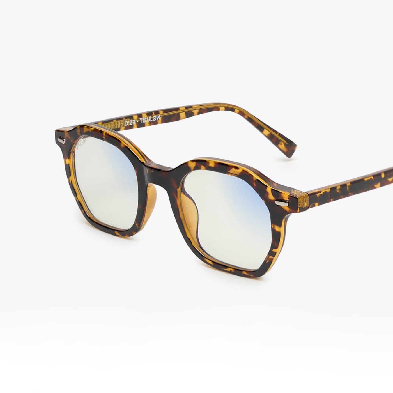 TOULON TORTOISE / CLAIR