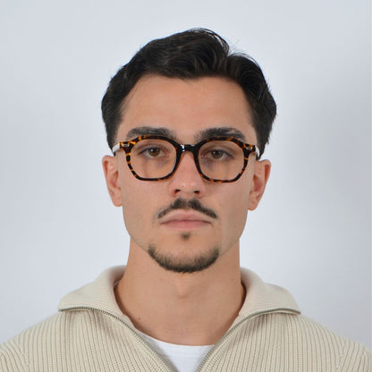 TOULON TORTOISE / CLAIR